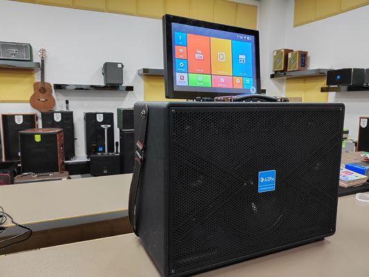 quality Video Musik KTV Loudspeaker Pertunjukan Pesta Luar factory
